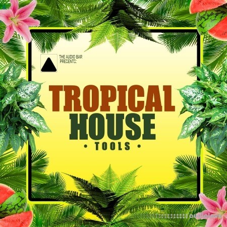 The Audio Bar Tropical House Tools WAV MiDi Synth Presets