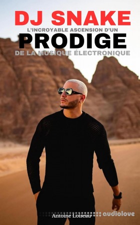 DJ Snake: L'incroyable Ascension d'un Prodige de la Musique Electronique (French Edition)