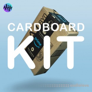 Noiiz Cardboard Kit