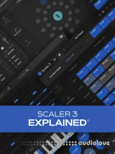 Groove3 Scaler 3 Explained