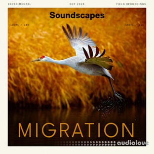 Splice Soundscapes Migration