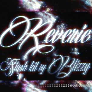 BLIZZY.MP3 Reverie Stash Kit