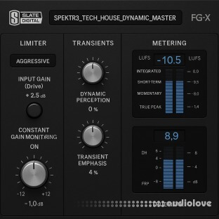 SPEKTR3 Tech House Presets for FG-X2