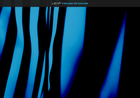 Native Instruments Leap House Grooves v1.0.0 KONTAKT