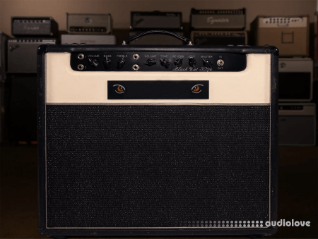 Alter Amp Works BC30 Sampson Tonex Capture pack