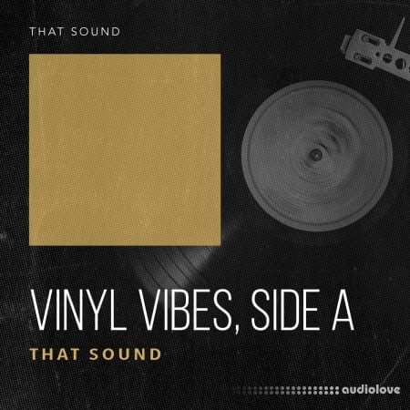 That Sound Vinyl Vibes - Side A WAV Synth Presets