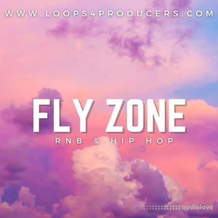 Loops 4 Producers Fly Zone WAV