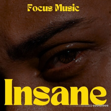 Focus Music Insane