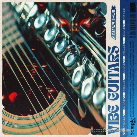 Sample Hub Vibe Guitars 2 WAV