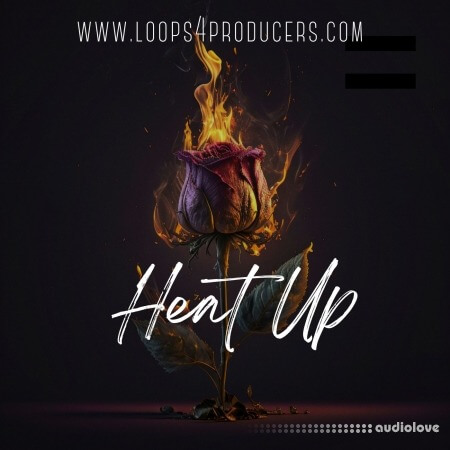 Loops 4 Producers Heat Up