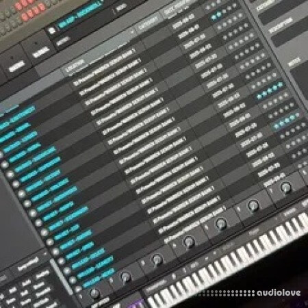 Warren Hunter Serum Bank 1 Serum 2 Presets Synth Presets