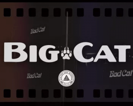 Alter Amp Works Big Cat Tonex Capture pack