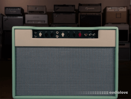 Alter Amp Works TYLR HM30