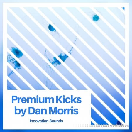 Ushuaia Music Premium Kicks By Dan Morris