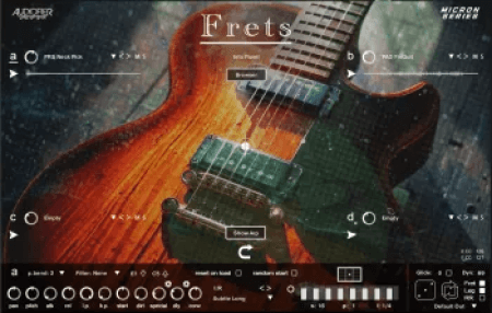 Audiofier Micron Frets