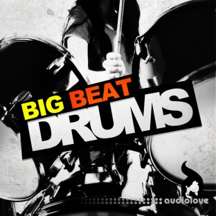 Delectable Records Big Beat Drums