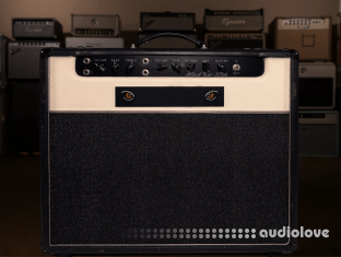 Alter Amp Works BC30 Sampson Tonex Capture pack