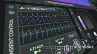 Polarity Music Trance for Fans