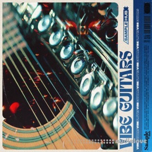 Sample Hub Vibe Guitars 2