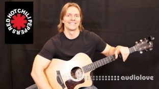 Udemy How to Play Red Hot Chili Peppers Scar Tissue