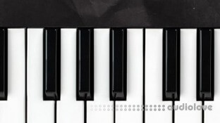 Udemy Master Any Piano Piece Fast