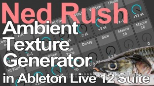 Ned Rush Ambient Texture Generator in Live 12 Suite