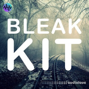 Noiiz Bleak Kit