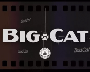Alter Amp Works Big Cat Tonex Capture pack