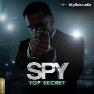 Big Fish Audio Spy Top Secret
