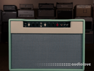 Alter Amp Works TYLR HM30