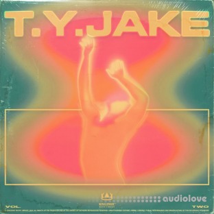 Kingsway Music Library t.y.jake Vol.2 (Compositions and Stems)