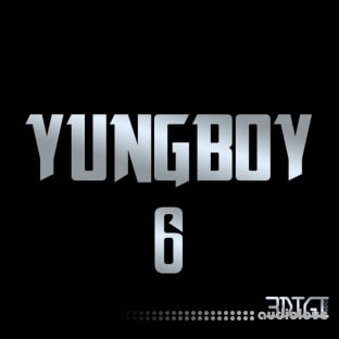 3 Digi Audio Yungboy 6