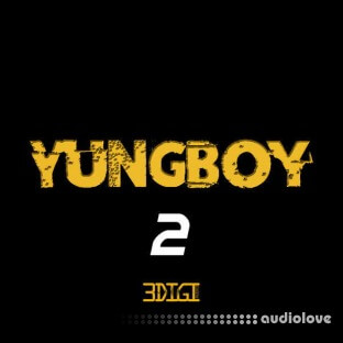 3 Digi Audio Yungboy 2