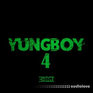 3 Digi Audio Yungboy 4