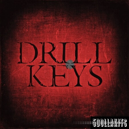 5DOLLAKITS Drill Keys