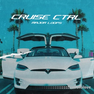 Major Loops Cruise Ctrl