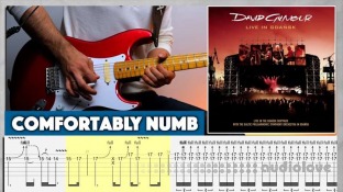 MustyGuitar Comfortably Numb (Gdansk) Solo