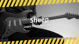 MustyGuitar Sheep (Intro + Outro)