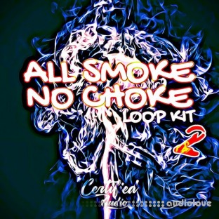 Certified Audio LLC All Smoke No Choke 2