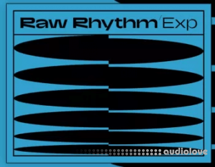 Native Instruments Rhythm
