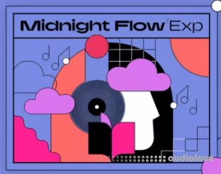 Native Instruments Midnight Flow Expansion