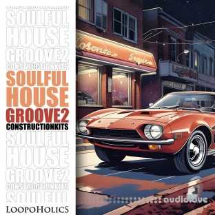 Loopoholics Soulful House Groove 2 Construction Kits