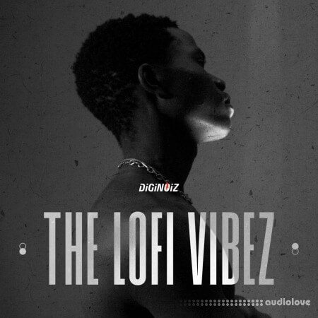 Diginoiz The Lofi Vibez