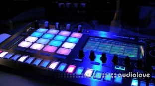 Udemy FL Studios Course Learning The Basics With Students