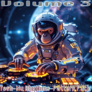 Crystal Distortion Crystal D's Tech-Nu Rhythms Pattern Pack