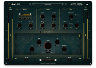 Odeholm Audio Thall Amp