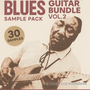 Soul Chemist Blues Guitar Bundle Vol.2