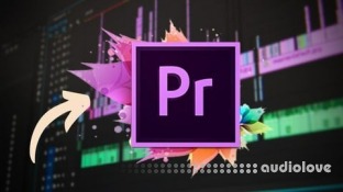 Udemy Premiere Pro Masterclass: Beginner to Advanced Video Editing