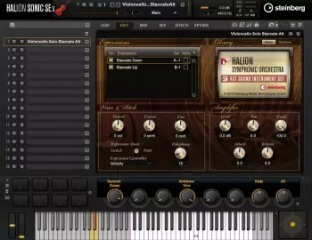 Steinberg Symphonic Orchestra