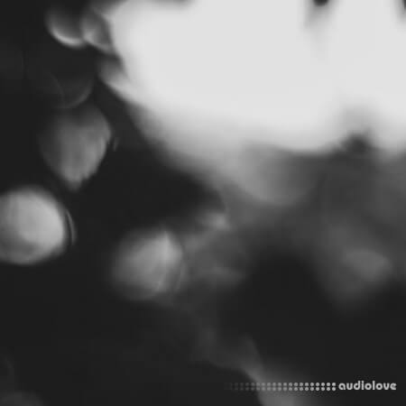 Polyend Bliss Chords